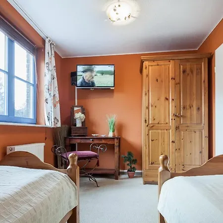 Papillon 01-1 * Boltenhagen