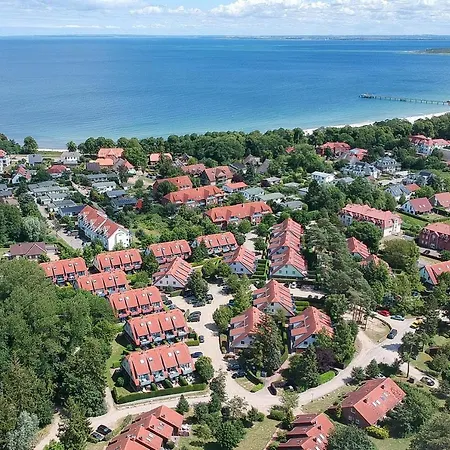 Papillon 01-1 * Boltenhagen