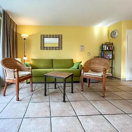 Papillon 01-1 Boltenhagen