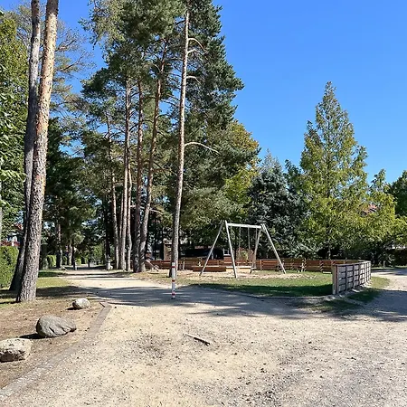 Papillon 01-1 * Boltenhagen (Ostseebad)