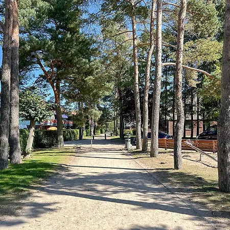 Papillon 01-1 Boltenhagen