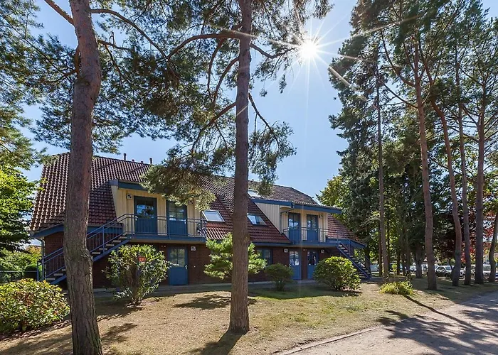 Papillon 01-1 Boltenhagen (Ostseebad)