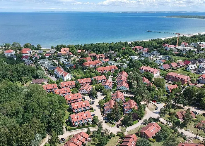 Papillon 01-1 * Boltenhagen (Ostseebad)