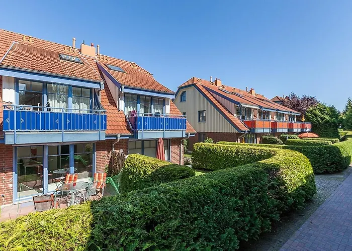 Papillon 01-1 Boltenhagen (Ostseebad)