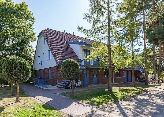 Papillon 01-1 Boltenhagen (Ostseebad)