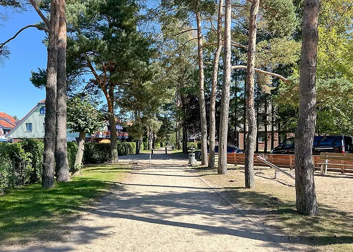 Papillon 01-1 Boltenhagen (Ostseebad)